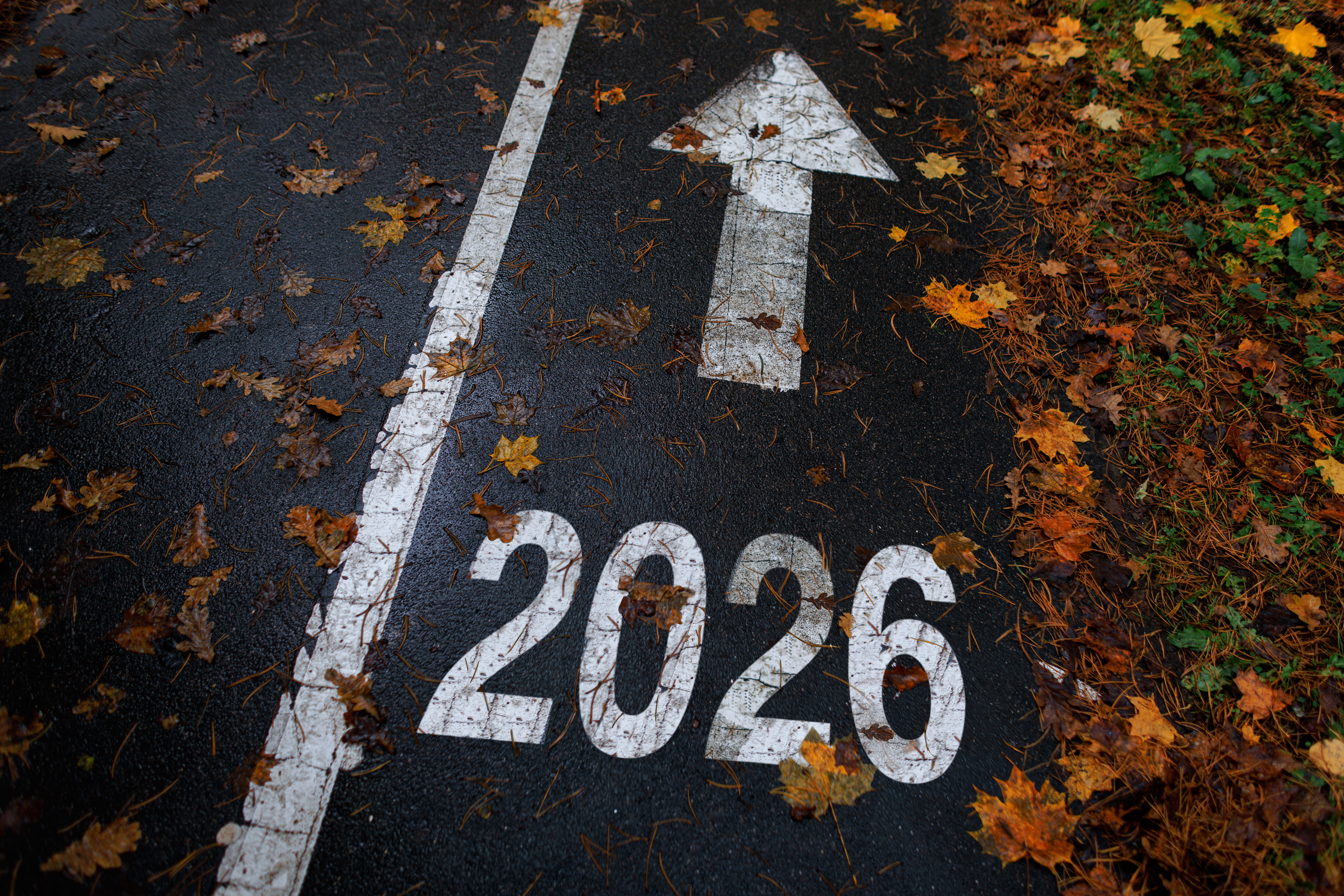 Road marked 2026 surrounded by autumn leaves, symbolising direction and focus before setting new marketing goals.