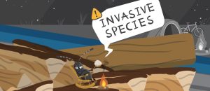 PlayCleanGo animation still: a beetle roasting a marshmallow on firewood, with an Invasive Species speech bubble