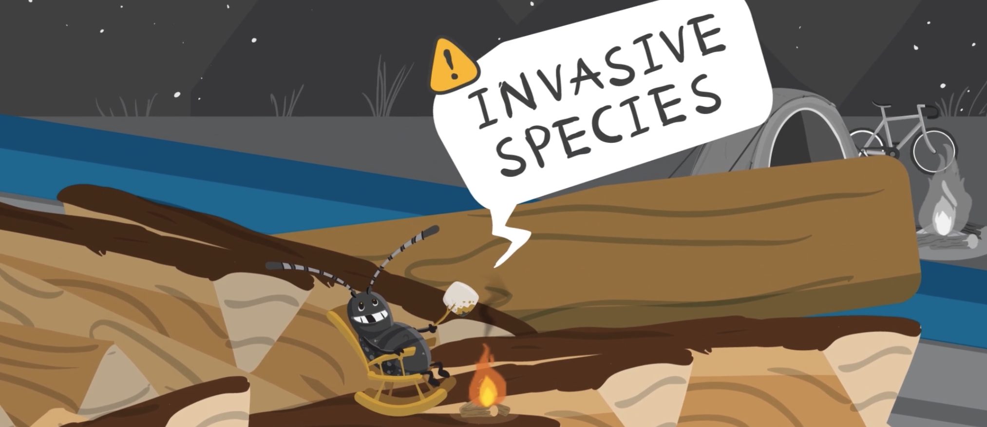 PlayCleanGo animation still: a beetle roasting a marshmallow on firewood, with an Invasive Species speech bubble