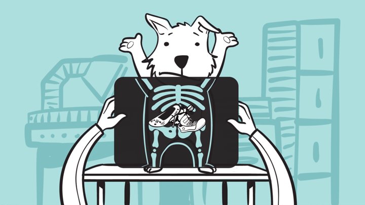 2D animation frame of hands holding an X-ray of a dog that swallowed a shoe